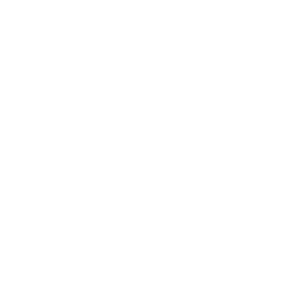 256x256 White Phone Icon