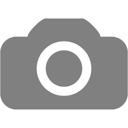256x256 Gray Camera Icon
