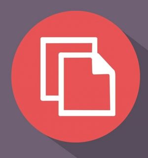 300x321 Copy Cu On The Go