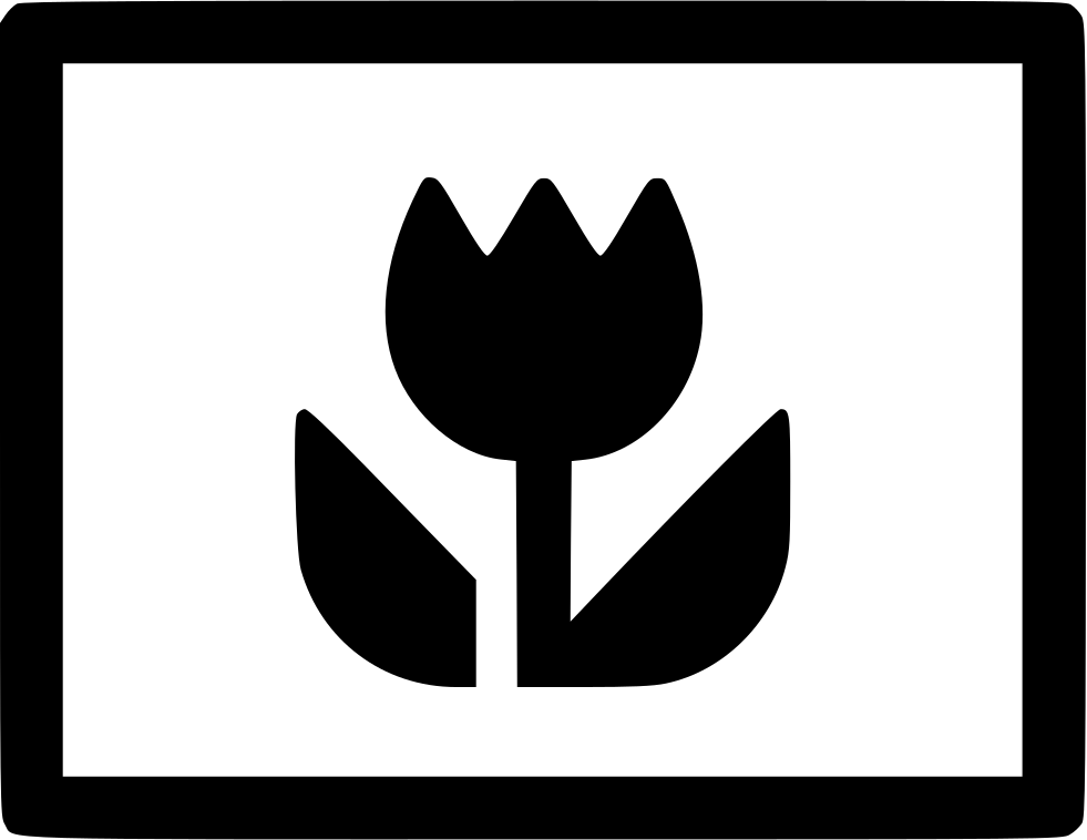 981x758 Yps Photo Macro Photography Photos Png Icon Free Download