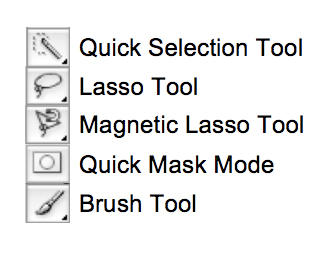 333x257 Secrets Of Digital Bird Photography