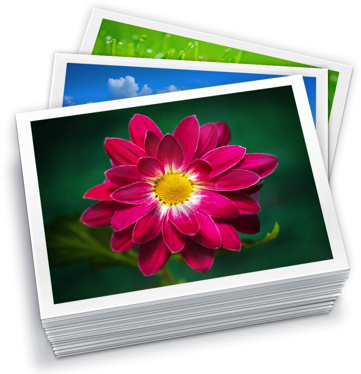 742x769 Hd Php Photo Gallery Software