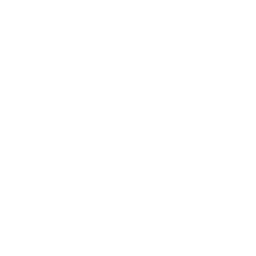 256x256 White Logo Php Icon