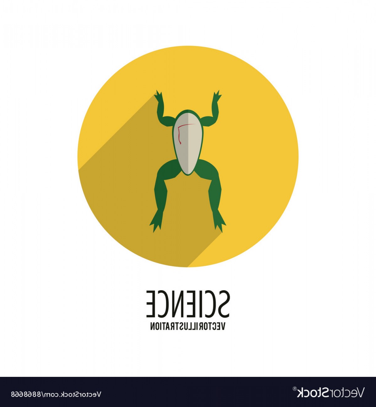 1198x1296 Biology Design Science Icon Flat Vector Soidergi