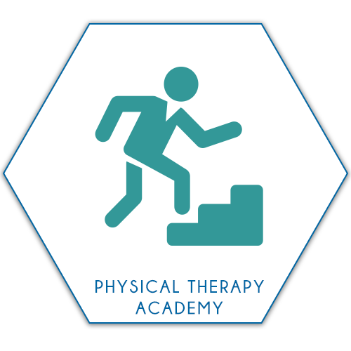 Nap Gt About Nap Gt Academies Gt Physical Therapy 500x500 Nap Gt About Nap Gt Academies Gt Physical Therapy