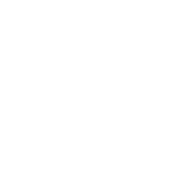 256x256 White Physics Icon