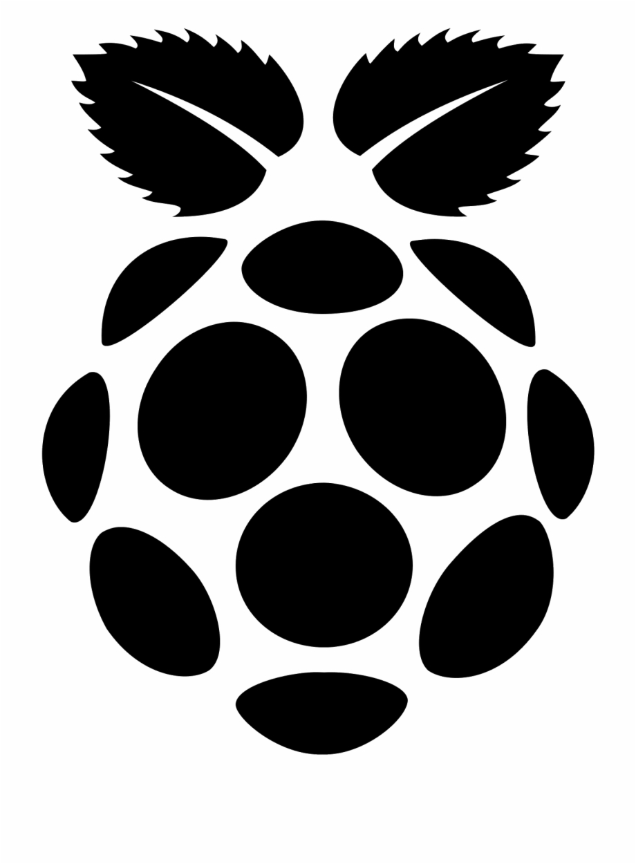 920x1250 Raspberry Pi Filled Icon