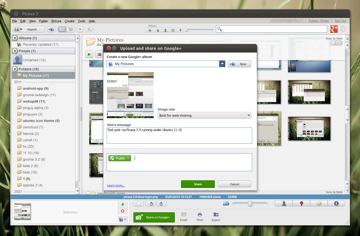 1225x805 Install Picasa In Linux And Fix Google Sign In Issue
