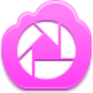 300x300 Picasa Icon Free Images