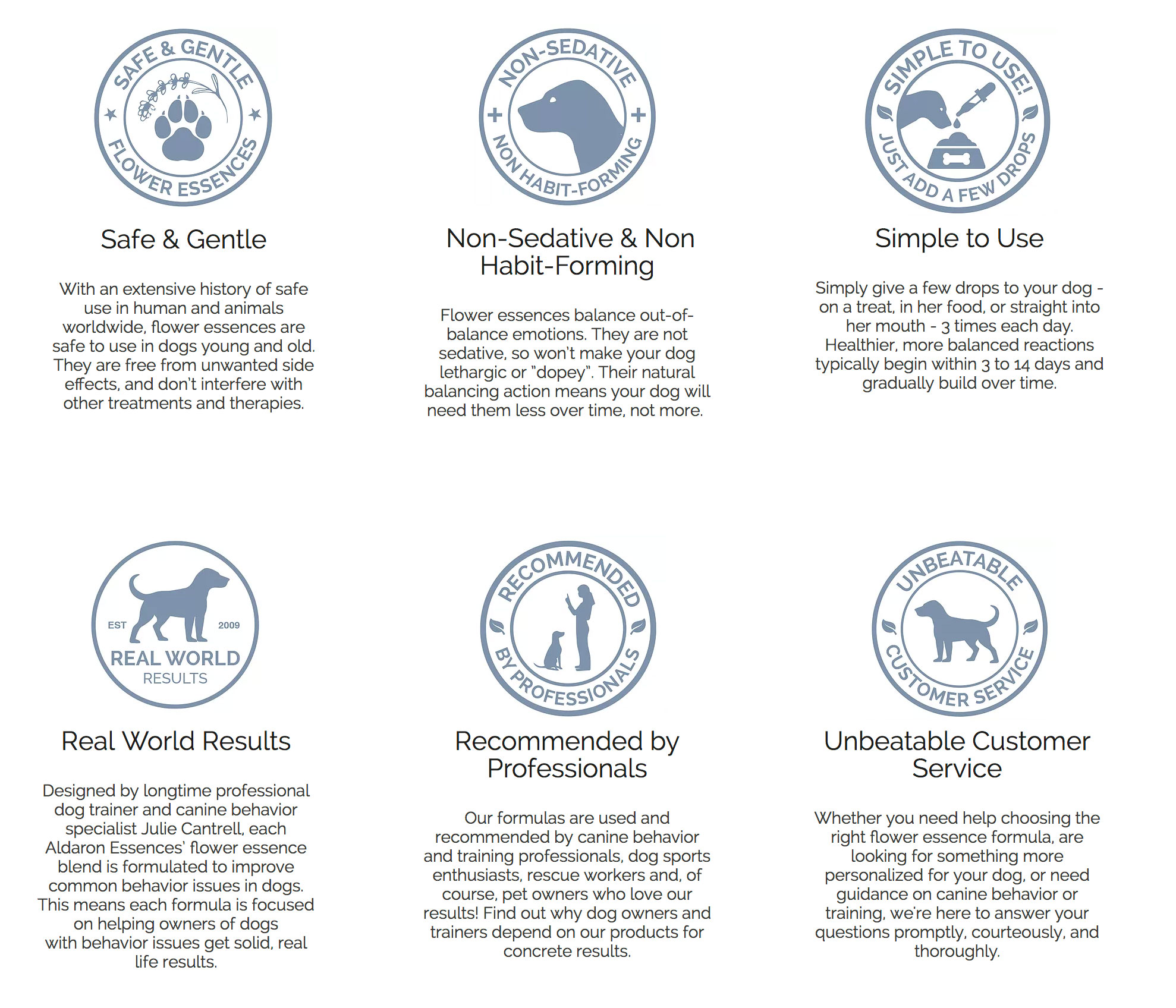 1978x1696 Icon Graphic Designer Wix Designer Denver Web Design Pickle