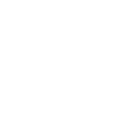256x256 Free White Pickup Icon