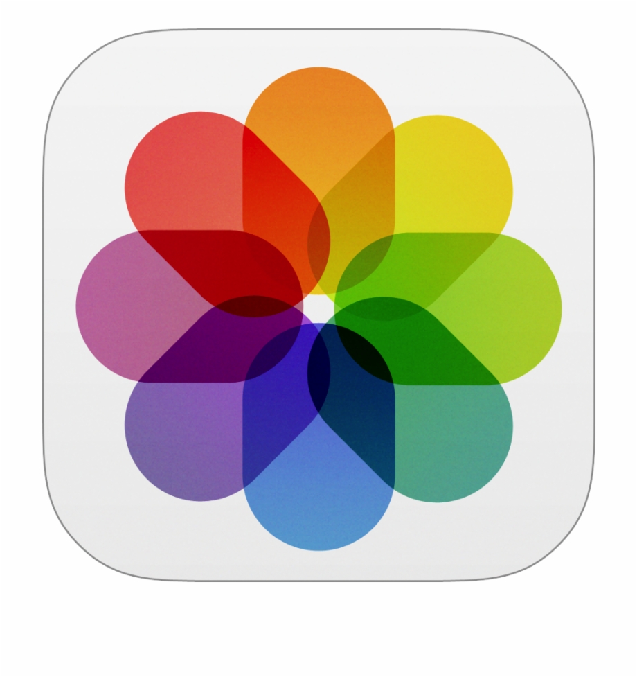 920x977 Download Png