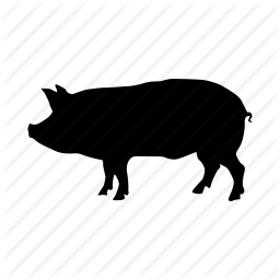 256x256 Free Pig Icon