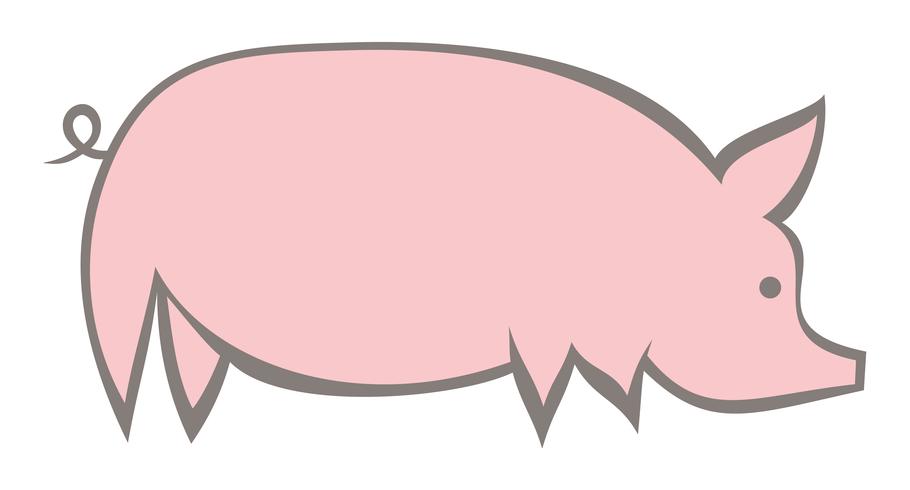 910x490 Pig Icon