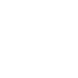256x256 White Pig Icon