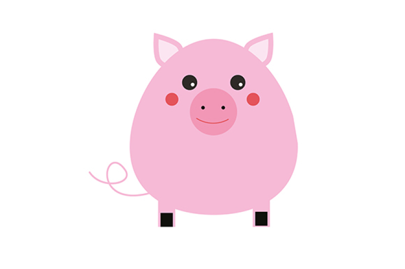 800x532 Cute Pig Icon Vector +