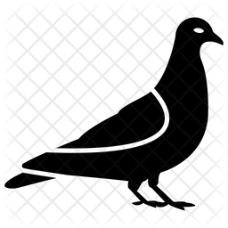 256x256 Pigeon Icon Of Glyph Style