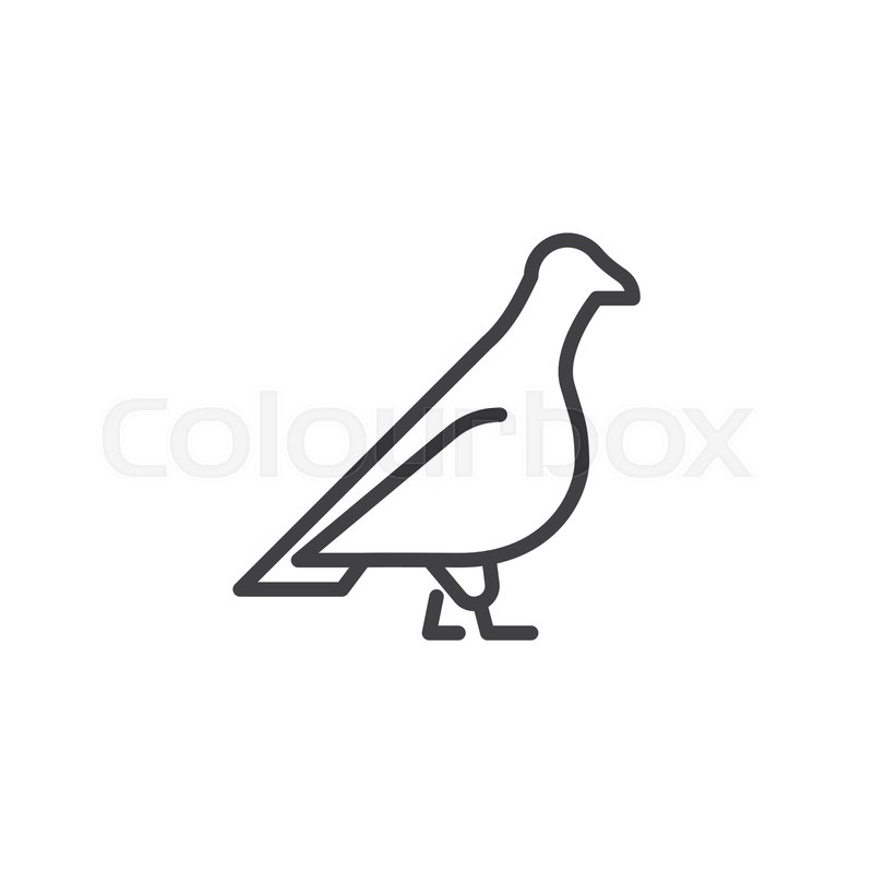 800x800 Pigeon Side View Line Icon Linear Stock Vector Colourbox