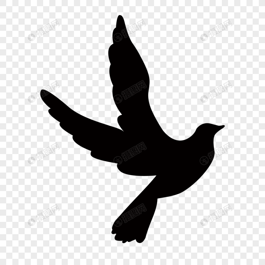 860x860 Socks Feet Ankles Png Image Picture Free Download