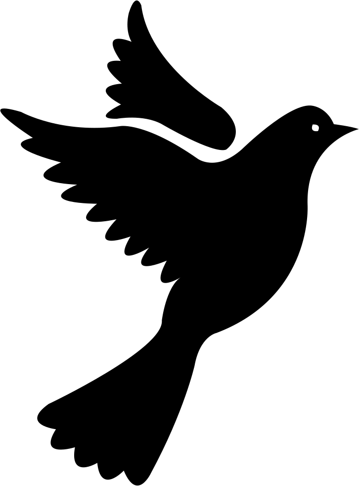 726x982 Will The Pigeon Png Icon Free Download