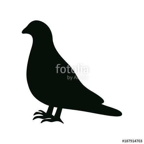 500x500 Pigeon Icon Stock Image And Royalty Free Vector On Fotolia