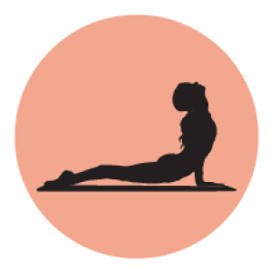 300x300 Pilates Icons Bck Performance Pilates Physiotherapy