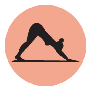 300x300 Pilates Icons Bck Performance Pilates Physiotherapy