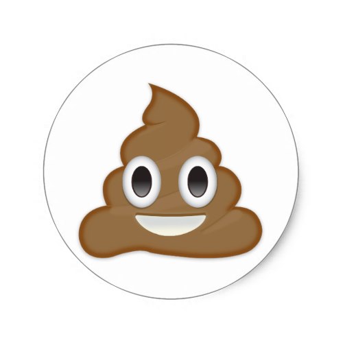 500x500 Pile Of Poo Emoji Classic Round Sticker