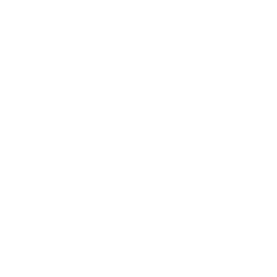 White Pill Icon 256x256 White Pill Icon