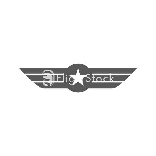 540x540 Pilot Wings Icon Flightstock