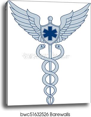 305x390 Caduceus With Pilot Wings Emt Star Icon, Canvas Print Barewalls