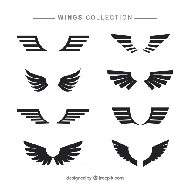 626x626 Wings Vectors, Photos And Free Download