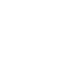 256x256 Free White Pinch Icon