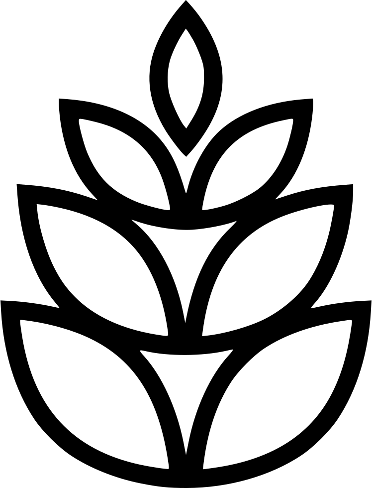 Pine Cone Png Icon Free Download 748x980 Pine Cone Png Icon Free Download