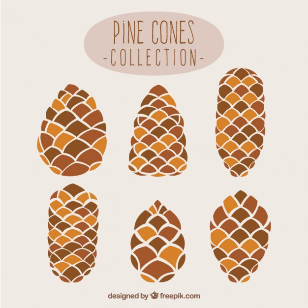 Pine Cone Vectors, Photos And Free Download 626x626 Pine Cone Vectors, Photos And Free Download