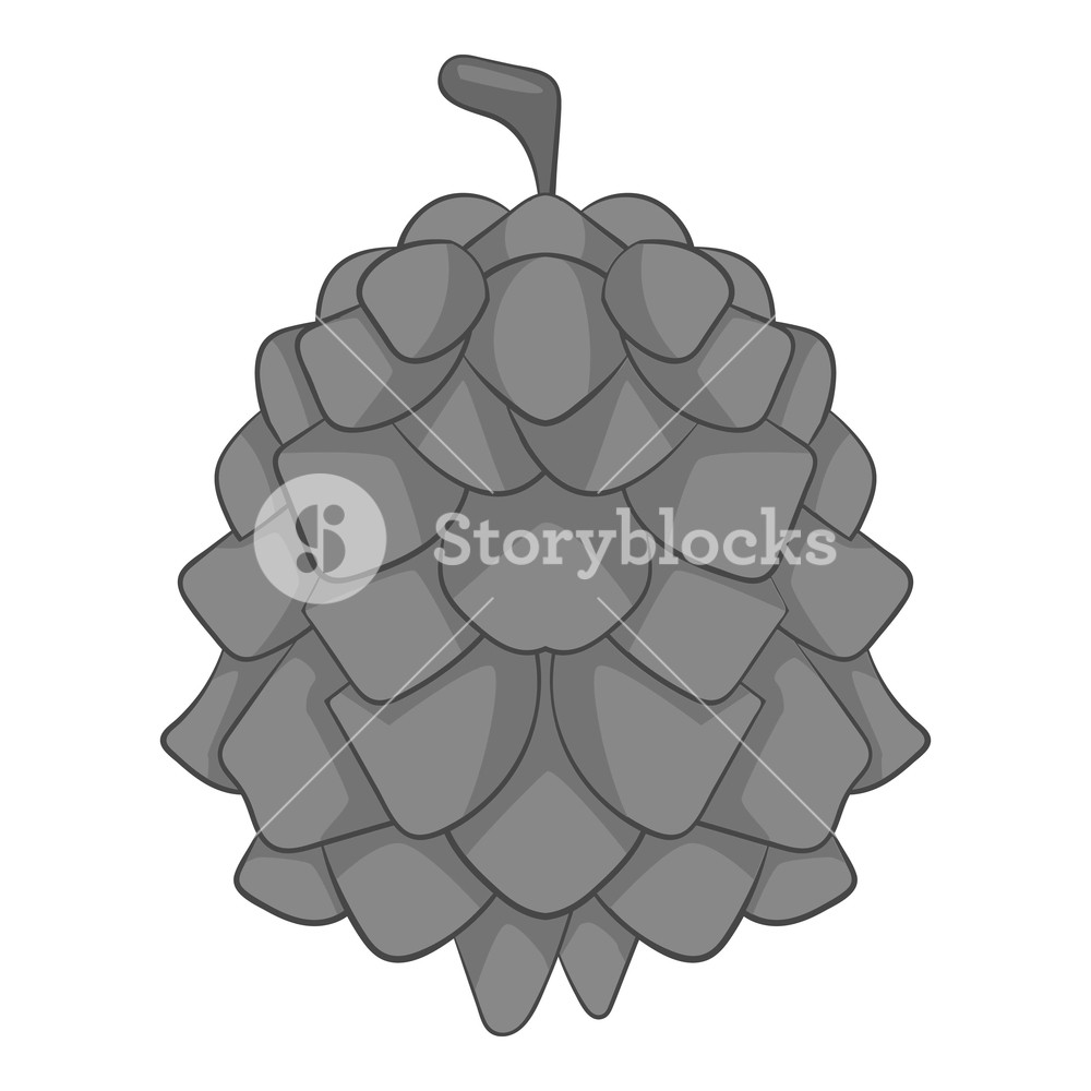 Pine Cone Icon In Monochrome Style Isolated On White Background 1000x1000 Pine Cone Icon In Monochrome Style Isolated On White Background
