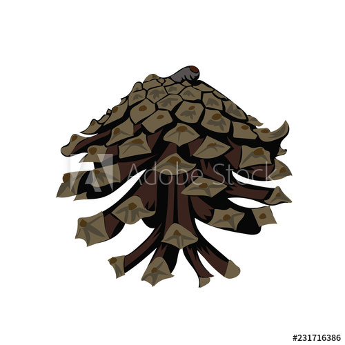 Pine Cone Icon Vector Illustration On White Background 500x500 Pine Cone Icon Vector Illustration On White Background