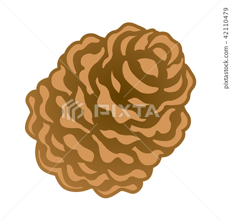 Pine Cones Icon 468x450 Pine Cones Icon