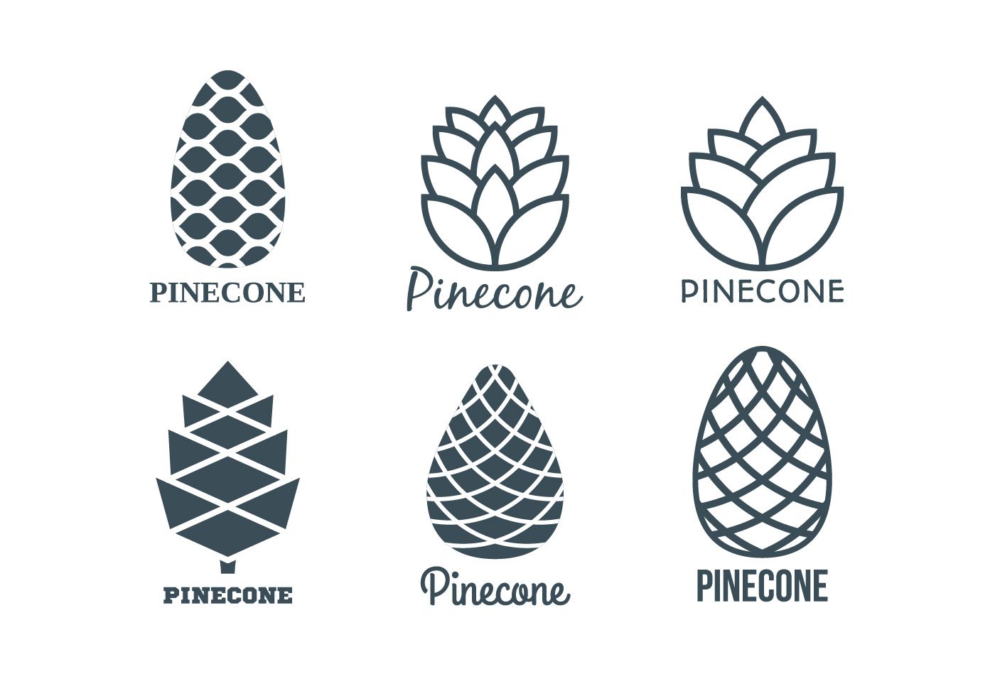 Flat Pine Cones Logo Template Collection Branding Tree Logos 1400x980 Flat Pine Cones Logo Template Collection Branding Tree Logos
