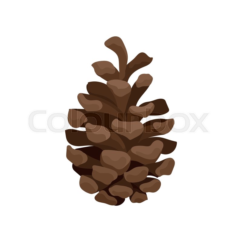 Icon Of Brown Pine Cone Woody Fruit Stock Vector Colourbox 800x800 Icon Of Brown Pine Cone Woody Fruit Stock Vector Colourbox