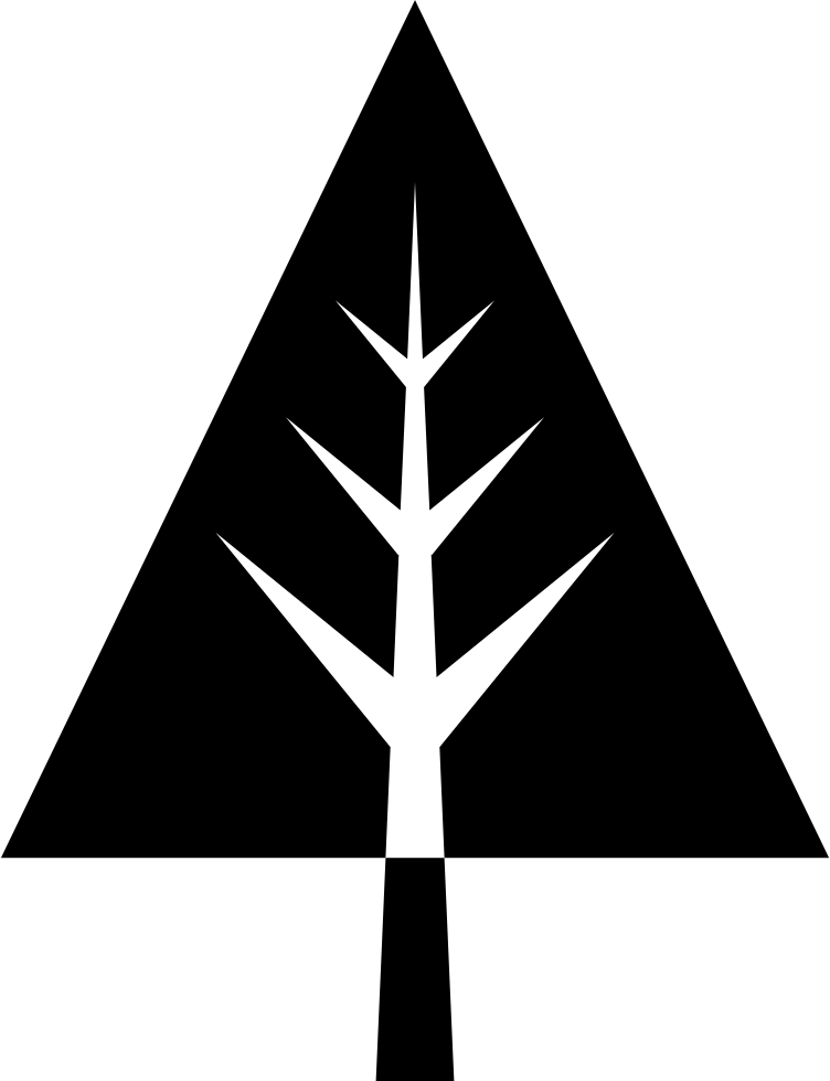 752x980 Pine Tree Png Icon Free Download