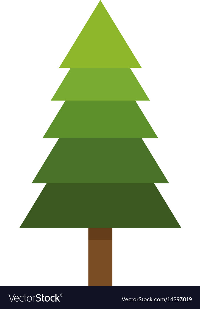 700x1080 Pine Tree Icon