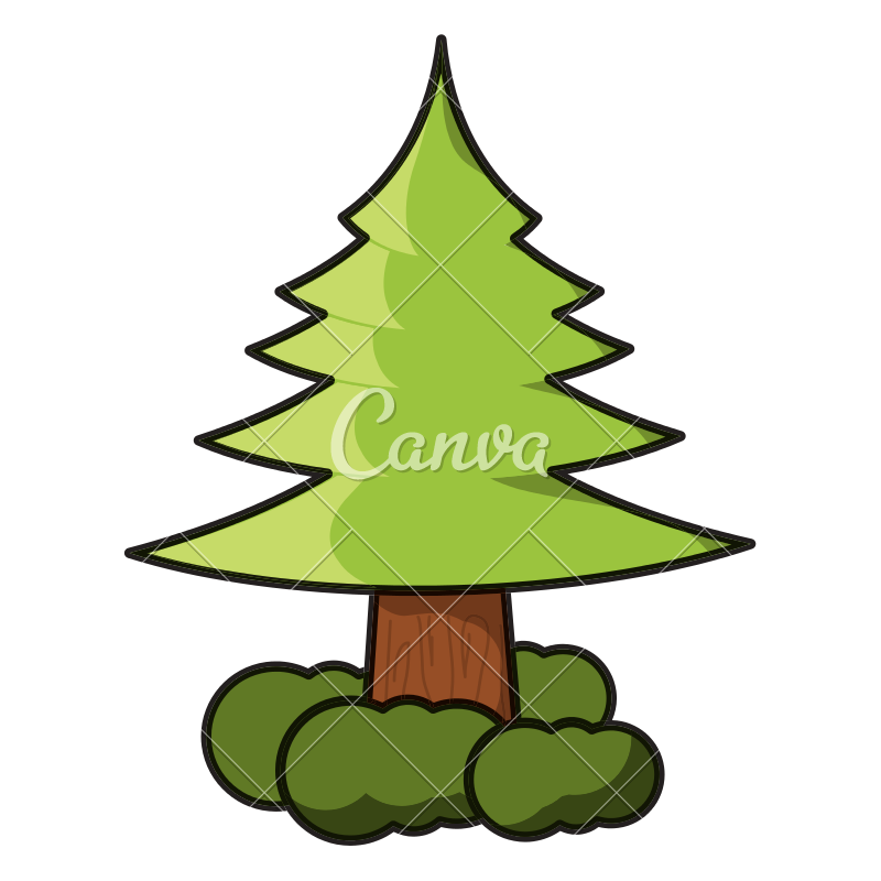 800x800 Pine Tree Icon Image