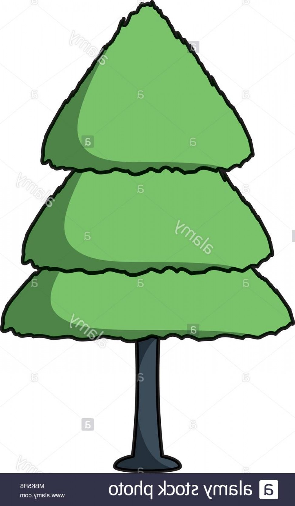 973x1668 Pine Tree Icon Over White Background Colorful Design Vector