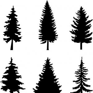 300x300 Pine Tree Merry Christmas Icon Graphic Vector Studiogrfx
