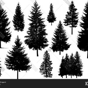 300x300 Stock Vector Set Silhouette Of Pine Trees Icon Emblem Studiogrfx