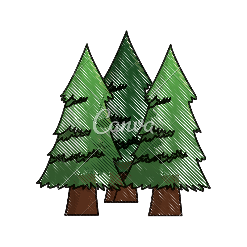 800x800 Three Pine Trees Icon