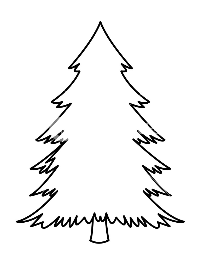 800x1000 Pine Tree Icon Isolated Black And White Vector Illustration