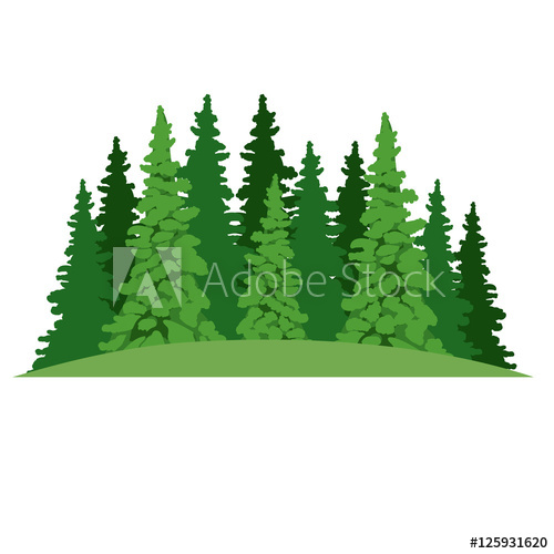 500x500 Pine Tree Icon Plant Nature Spring Garden Theme Isolated Design