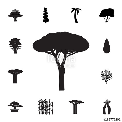 500x500 Stone Pine Tree Icon Set Of Silhouette Of Tree Icons Web Icons